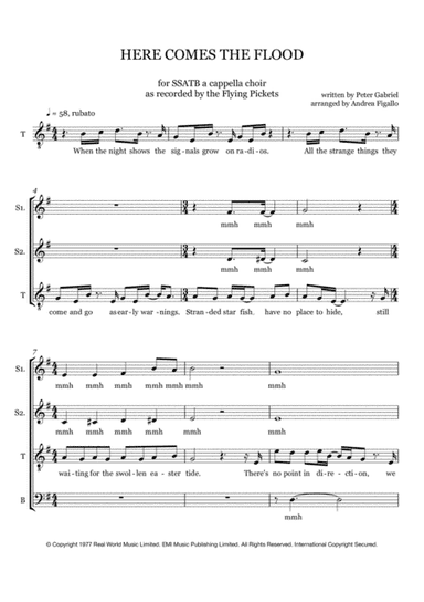Here Comes The Flood (arr. Andrea Figallo)
