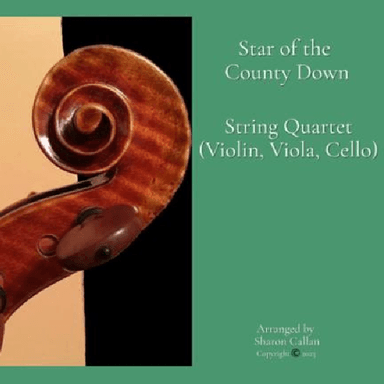 Star of the County Down (arr. Sharon Callan)