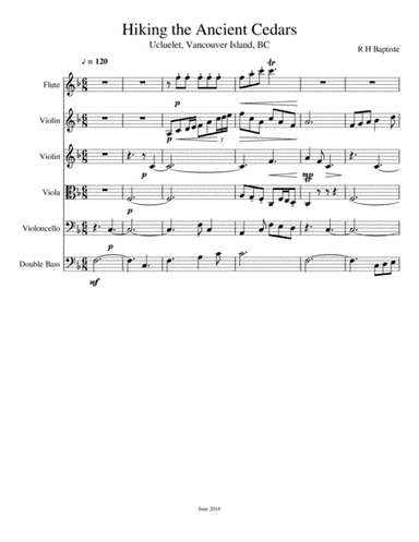 Hiking the Ancient Cedars