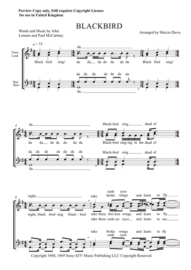 Blackbird (arr. Marcia Davis)