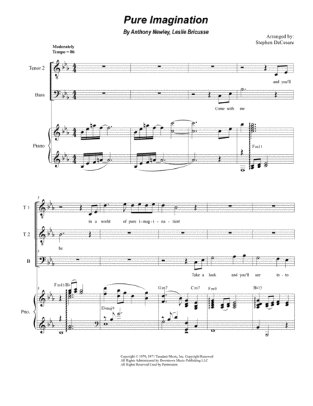 Pure Imagination (arr. Stephen DeCesare)