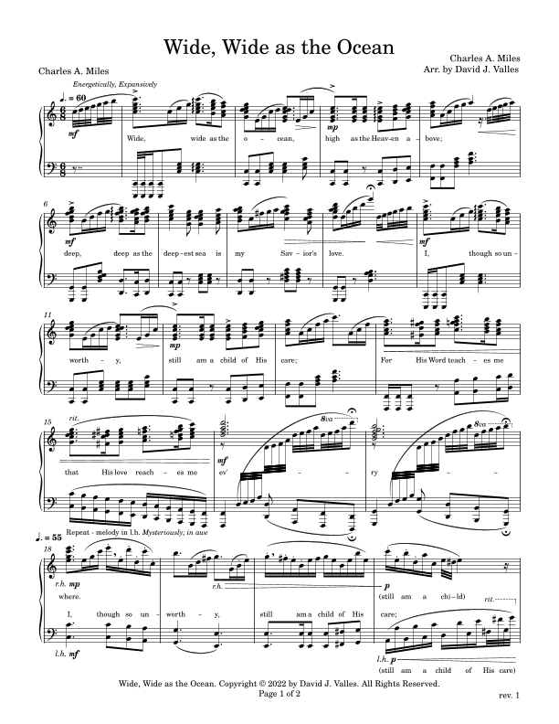 Wide, Wide as the Ocean (arr. David J. Valles)