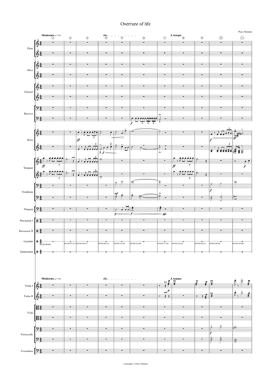 Overture of life - Petro Melnyk