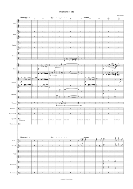 Overture of life - Petro Melnyk