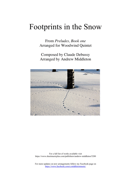 Footprints in the Snow arranged for Woodwind Quintet (arr. Andrew Middleton)