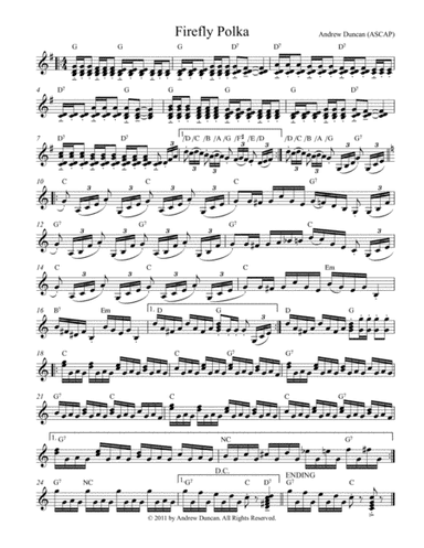 Firefly Polka - Accordion Solo