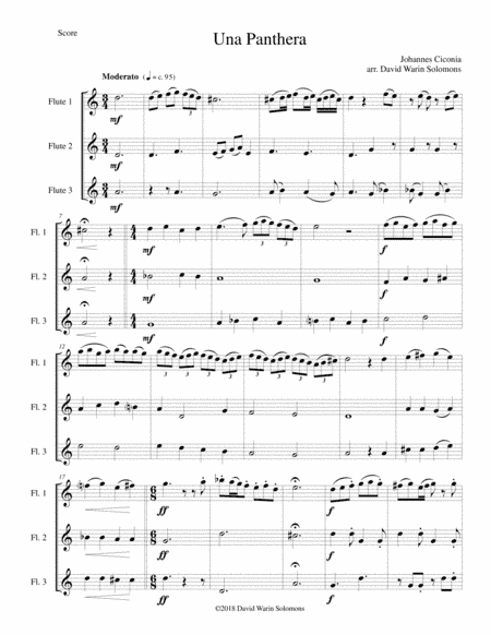 Una panthera in compagnia de Marte (A Panther in company of Mars) arranged for 3 flutes (arr. David Warin Solomons)