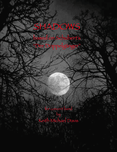 Shadows: based on Schubert's "Der Doppelgänger"