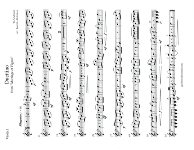 Duettino from Marriage of Figaro (arr. Lorento Golofeev)