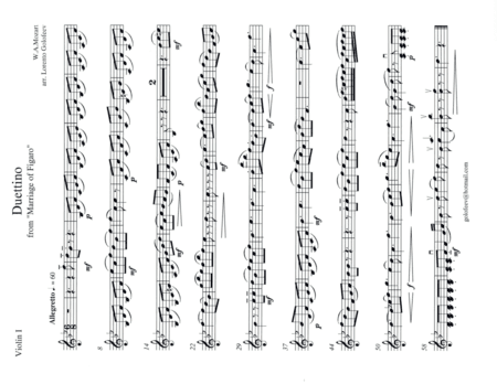 Duettino from Marriage of Figaro (arr. Lorento Golofeev)