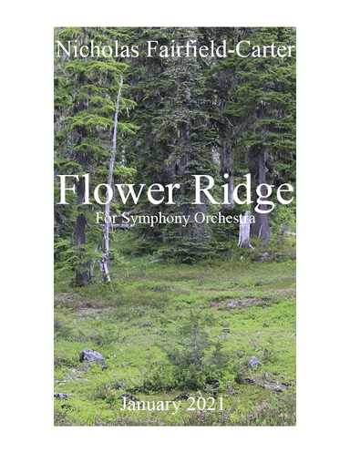 Flower Ridge From Strathcona Park Suite