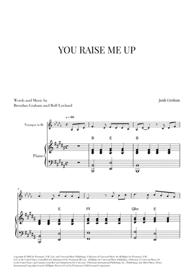 You Raise Me Up (arr. Cadenza Editions)