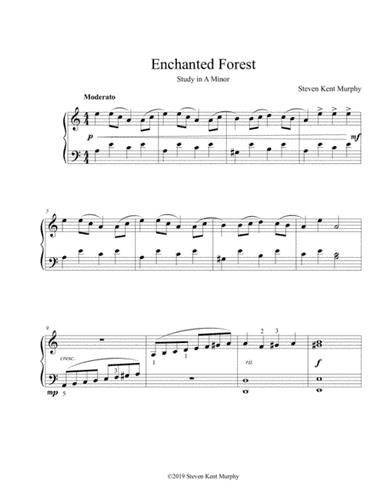 Enchanted Forest