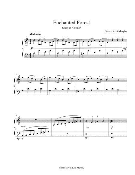 Enchanted Forest