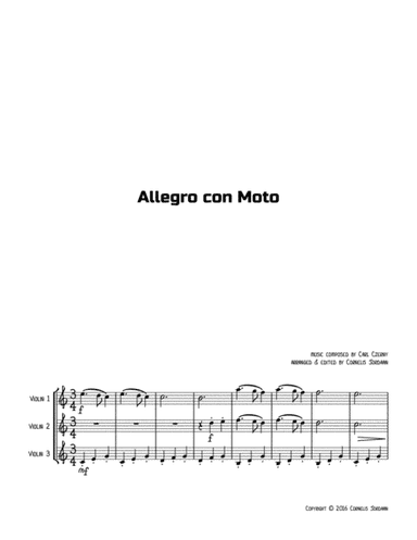 Allegro con Moto, for violin trio (arr. Cornelis Jordaan)