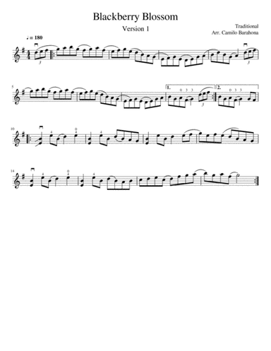 Blackberry Blossom : Fiddle & Guitar (arr. Camilo Barahona)