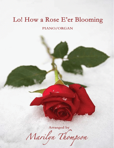 Lo! How a Rose E'er Blooming--Organ/Piano Duet.pdf (arr. Marilyn Thompson)