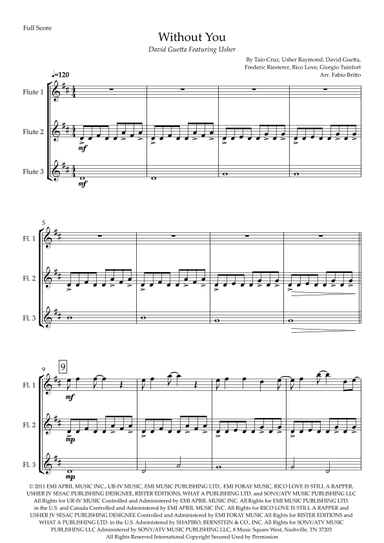 Without You (arr. Fabio Britto)