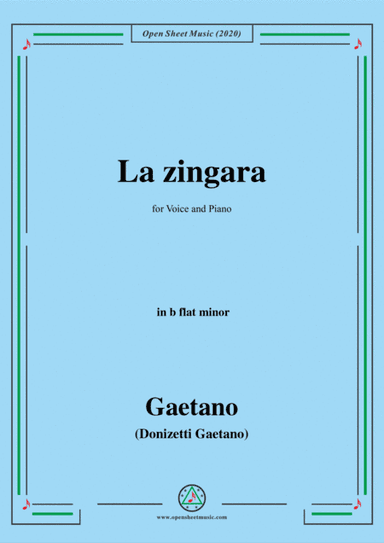 Donizetti-La Zingara,in b flat minor,for Voice and Piano (arr. MSM)