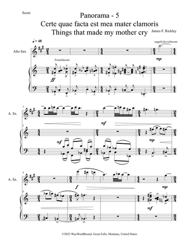 Panorama 5 Certe quae facta est mea mater clamoris - Things That Made My Mother Cry