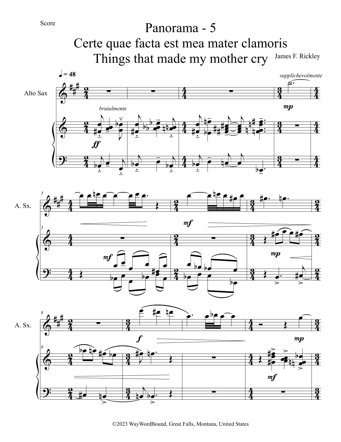 Panorama 5 Certe quae facta est mea mater clamoris - Things That Made My Mother Cry