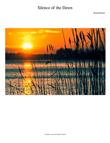 Silence of the Dawn (Nocturne #303)