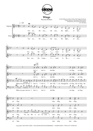 Wings (arr. Silv Pybus)