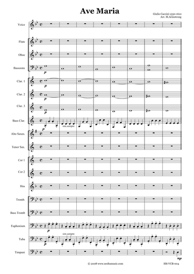 Ave Maria (arr. Mark Armstrong)