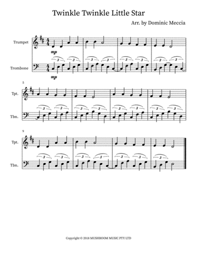 Twinkle Twinkle Little Star (trad Arr) (arr. Dominic Meccia)