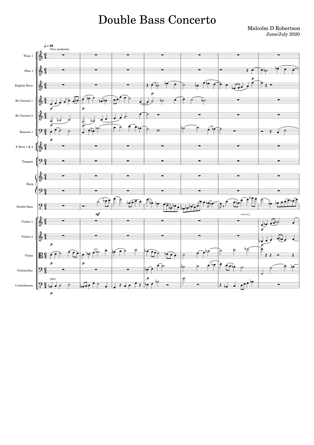 Concerto for Double Bass & Orchestra