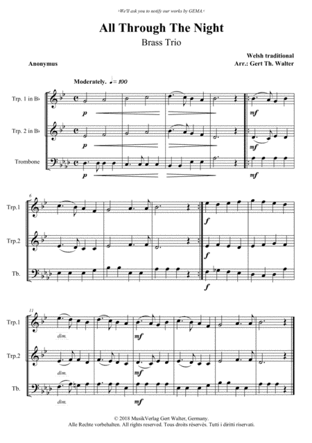 All Through The Night (arr. Gert Th. Walter)