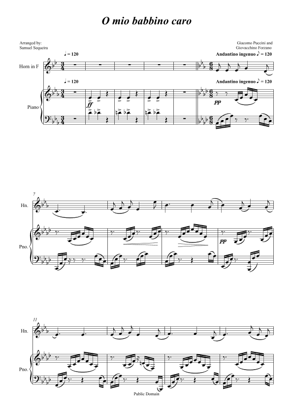 O mio babbino caro - for French Horn and Piano accompaniment - orchestral play along (arr. Samuel Sequeira)