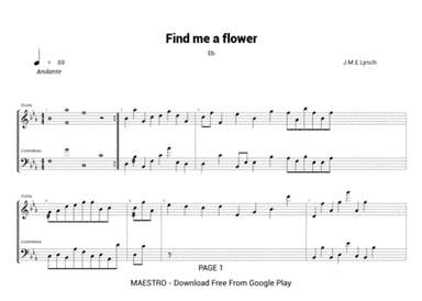 Find me a flower Eb88