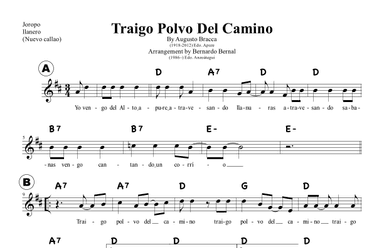 Traigo Polvo Del Camino (arr. Bernardo Bernal Hidalgo)