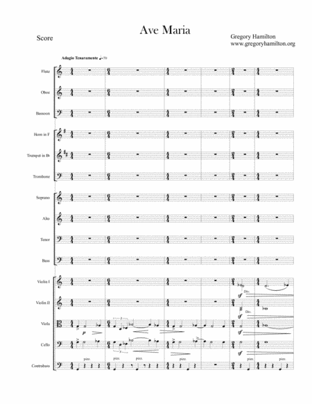 Ave Maria, for Chamber Orchestra and SATB Chorus (2015)