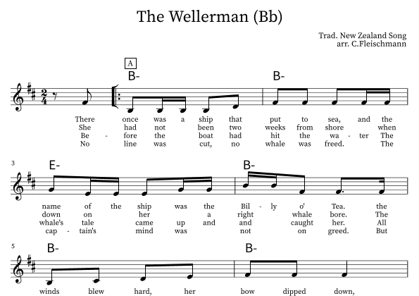 The Wellerman (arr. Christoph Fleischmann)