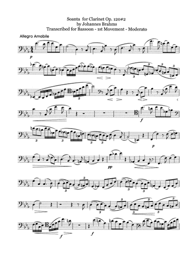 Brahms Sonata 2 for Bassoon (arr. DavidJHare)