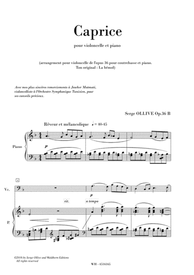CAPRICE , OP. 36b