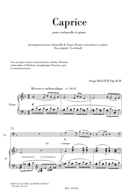 CAPRICE , OP. 36b