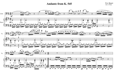 Andante from K.545 (arr. Ian Fitze)
