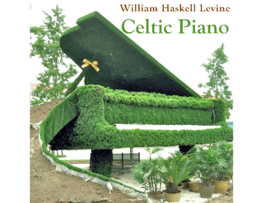 CELTIC PIANO - Limerick's Lament