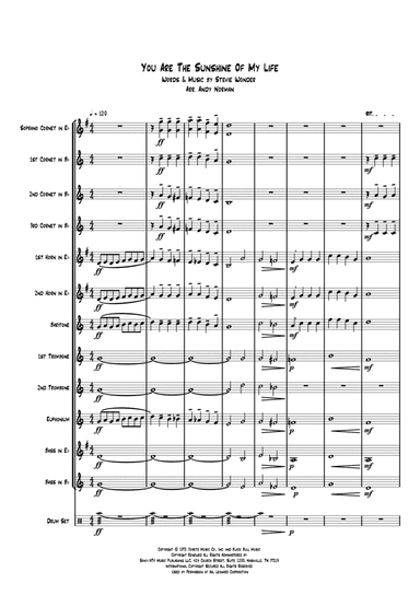 You Are The Sunshine Of My Life (arr. Andy Norman)