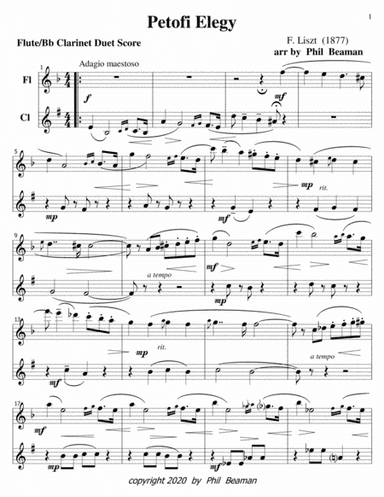 Petofi Elegy-Liszt-flute-clarinet duet (arr. Phil Beaman)