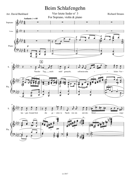 Beim Schlafengehn (R. Strauss) for Voice, Violin & Piano (arr. David Burkhard)