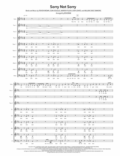 Sorry Not Sorry (arr. Ben Bram)