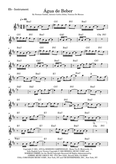 Água De Beber (water To Drink) (arr. Fabio Eduardo de Oliveira)