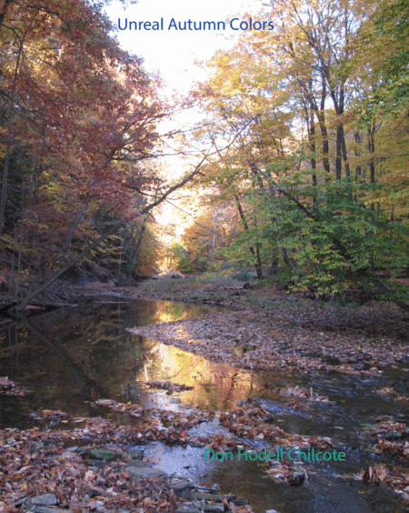 Unreal Autumn Colors