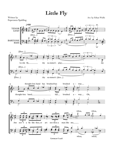 Little Fly (arr. Ethan Wolfe)
