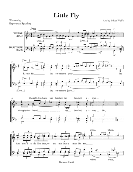 Little Fly (arr. Ethan Wolfe)