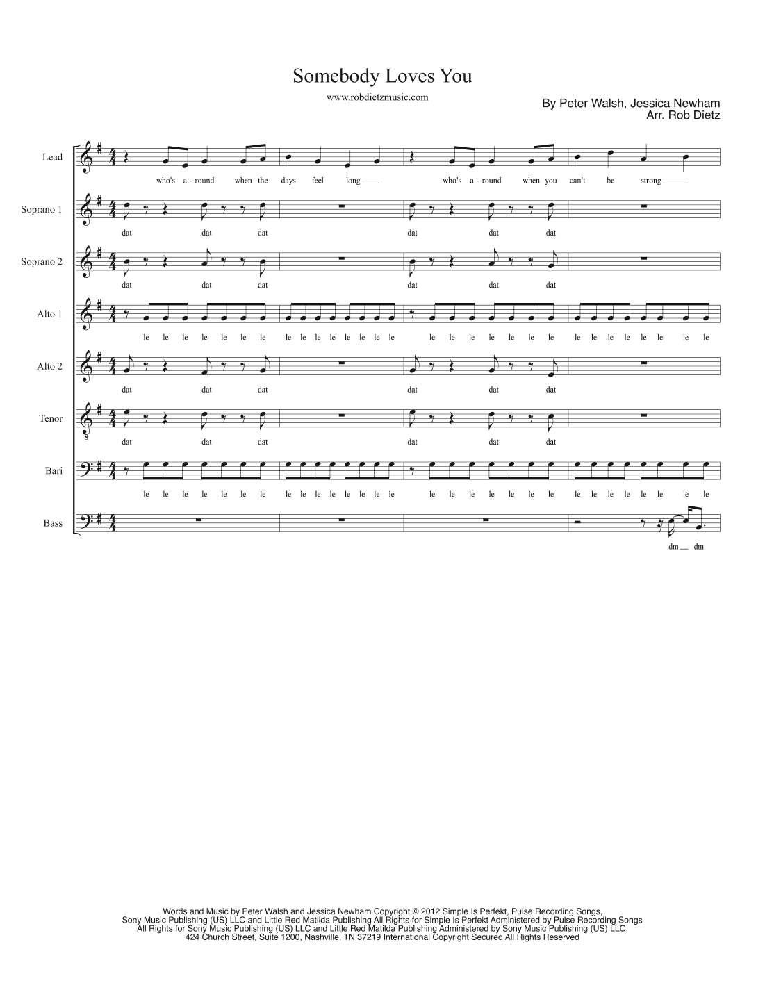 Somebody Loves You (arr. Rob Dietz)